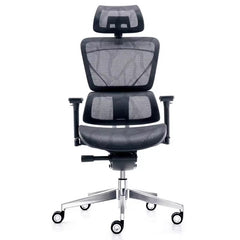 NOBEL Modern Ergonomic Comfortable Durable High End Lumbar Support Office Mesh Chair