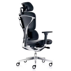 NOBEL Modern Ergonomic Comfortable Durable High End Lumbar Support Office Mesh Chair