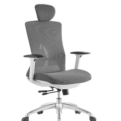 STEELY - High Back Ergonomic Strong Lumber Support Office Chair