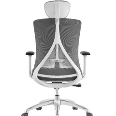 STEELY - High Back Ergonomic Strong Lumber Support Office Chair