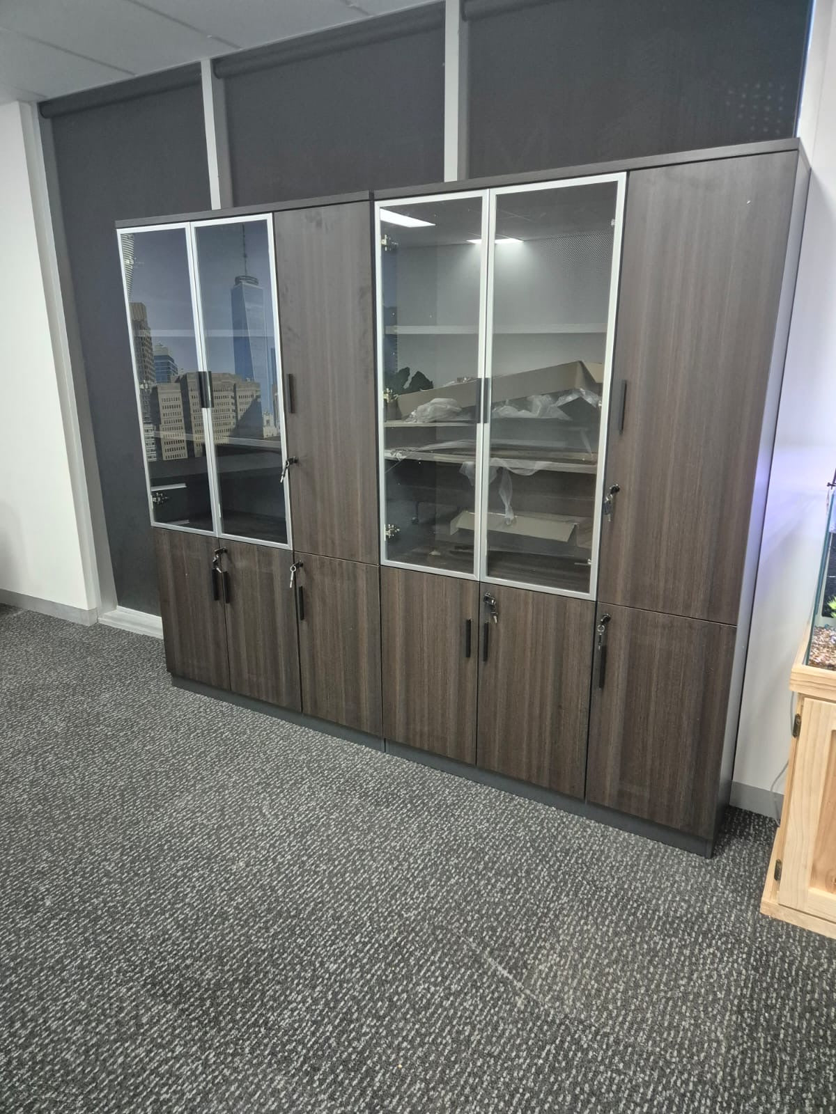 RYE Office File Cabinet with 2 Glass Swing Doors and Three Bottom Swing Doors