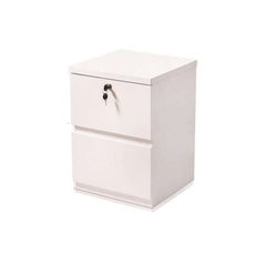 File Cabinet Mobile Pedestal - 1 Pen Drawer and 1 Swing Door